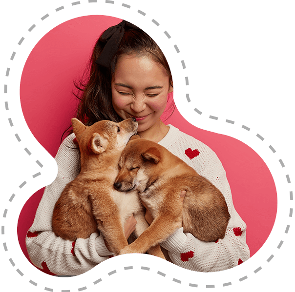 Best Quality Dog Products